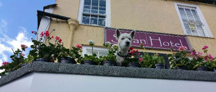 The Swan Hotel, Wotton-Under-Edge